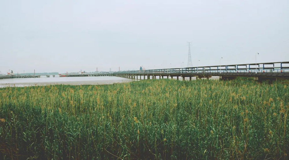 首页- 918博天堂集团有限公司官方网站